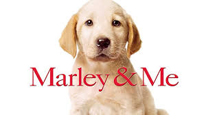 Alan arkin, alec mapa, ana ayora and others. Watch Marley Me Prime Video