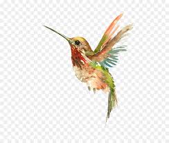 See more ideas about hummingbird, hummingbird tattoo, tattoos. Hummingbird Tattoo