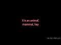 Ever since then, until the unfortunate death of. Fucked Up Xxxtention ØªØ­Ù…ÙŠÙ„ Mp4 Mp3