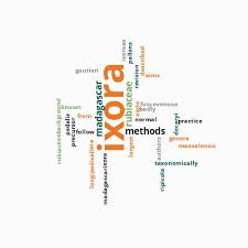 Image result for Ixora kalehensis