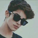 Bert Stander's Instagram, Twitter & Facebook