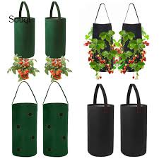 We did not find results for: Tomato Grow Bag 2pcs Set Tomato Pouch Wall Hanging Pocket Plant Growing Bag Strawberry Planting Bag Breathable Garden Grow Bag Flower Pouch For Home Garden Balcony Gardening Patio Lawn Garden Urbytus Com