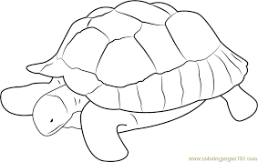 Maybe you would like to learn more about one of these? Turtle At Zoo Coloring Page For Kids Free Turtle Printable Coloring Pages Online For Kids Coloringpages101 Com Coloring Pages For Kids