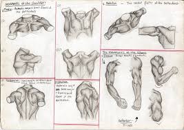 This can effectively educate everyone on the female human body. How To Draw Human Anatomy Anatomy Drawing Diagram