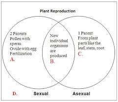 Compare The Venn Diagram Of Sexual Reproduction And Asexual