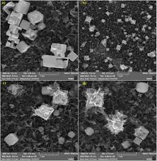 August 14, 2018june 30, 2018 lakon18plus. Facile In Situ Assembly Of Silver Based Mofs To Surface Functionalization Of Tfc Membrane A Novel Approach Toward Long Lasting Biofouling Mitigation Sciencedirect