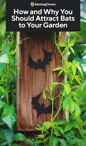 Check spelling or type a new query. How To Attract Bats To Your Garden And Why You Should