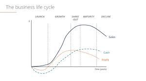 This includes increasing revenues, growth in terms of. Business Life Cycle Understanding The 5 Different Stages