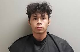 19-year-old charged with human smuggling South of Sunizona