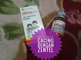 Bila perlu makan ubat cacing? Ubat Cacing Zentel Berubat P