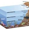 Of or taking place in the deeper parts of the sea. 3