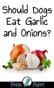 Patchpuppy Com Dogs Are Our Passion Dog Food Recipes Healthy Dog Food Recipes Dog Eating