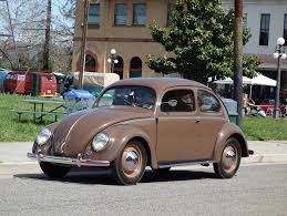 Image result for Medium Brown 1950 Beetle