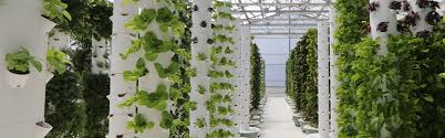 Maybe you would like to learn more about one of these? Tower Farms Vertical Aeroponic Farming At Scale