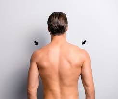 Maybe you would like to learn more about one of these? Scapula Stability My Family Physio