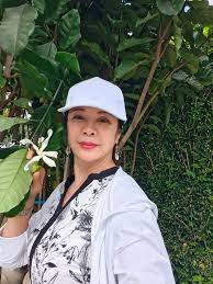 Image result for Tabernaemontana pachysiphon