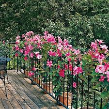 125 Container Gardening Ideas Garden Containers Garden Container Gardening