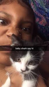 There is a Guinea Hen (?) hanging around my yard just south of the Park and  Farm. Does this bird belong to anyone? Or is this a wild bird?