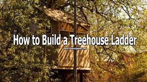 We did not find results for: How To Build A Treehouse Ladder 5 Easy To Follow Steps The Tool Geeks
