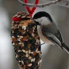 Pinecone Bird Feeder With Bark Butter Pine Cone Bird Feeder Bird Feeders Homemade Bird Feeders
