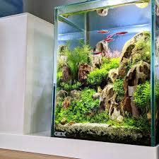 epingle par watakushi suiso sur paludarium aquarium terrarium paludarium