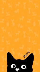 Wallpaper Gato Ef Fotos Videos Fotos En Caricatura Instagram