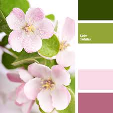 Maybe you would like to learn more about one of these? Color Palette 2678 Color Palette Color Balance Color Schemes Colour Palettes