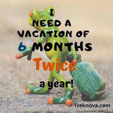 They also look great on a travel mug to keep you going for the rest of the year. 16 Funny Travel Quotes To Make You Laugh Out Loud