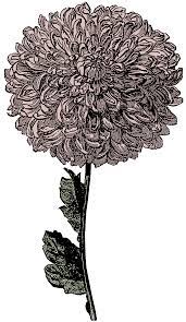 Free Victorian Clipart Flower And Watch Call Me Victorian Flower Drawing Flower Crown Drawing Cow Art Print