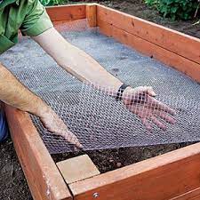 What do i put on the bottom of a raised garden bed? Raised Garden Bed Easy Diy Steps To Build An Elevated Planter Sunset Building A Raised Garden Raised Beds Raised Garden