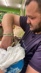 Is cocoa pebbles safe?