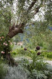 An Ancient Tuscan Farm Turned Magical Bohemian Home Com Imagens Jardim Lindo Jardim Jardim Azul