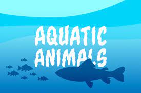 For many people, math is probably their least favorite subject in school. Aquatic Animals Quipoquiz