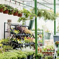 Sie müssen mindestens ein bild hochladen. Die 9 Besten Gartencenter In Nurnberg 2021 Wer Kennt Den Besten