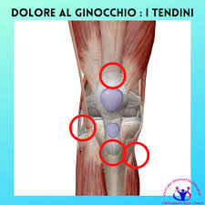Dolore Al Ginocchio Nella Corsa Osteopata Simonetta Alibrandi Cell 337754310