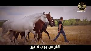 Demis Roussos Far Away مترجمة In 2020 Far Away Music Songs Places To Visit