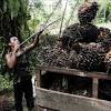 Malaysia recognises the importance of managing its natural resources intelligently which also includes the conservation of flora and fauna. 1