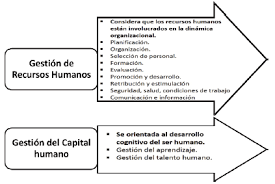 Clase 1, clase 2, clase 3, clase 4. Https Www Redalyc Org Journal 290 29056115008 29056115008 Pdf
