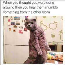 100 Funniest Cat Memes Ever Funny Animal Jokes Funny Cat Memes Funny Animal Memes
