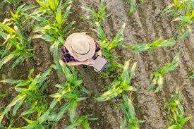 But today, you can find jumbo loans as low as 5% down and no mortgage insurance. Best Farm Loans Of 2021