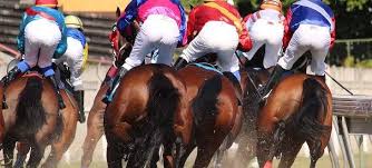 Festivals de courses de chevaux
