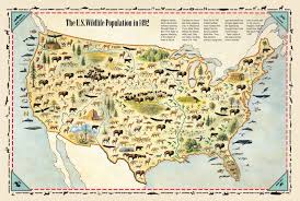 Wildlife Population In 1492 History For Kids Kids Discover Wildlife