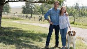 Bailey (voiced by josh gad) is living the good life on the michigan farm of his boy, ethan (dennis quaid) and ethan's wife hannah (marg helgenberger). A Dog S Journey Movie Review