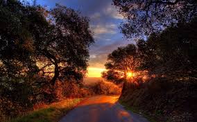 Nature Road Sunset Wallpapers Wallpaper Cave Awesome sunset wallpaper for desktop, table, and mobile. nature road sunset wallpapers