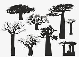 Download the silhouette in eps, jpg, pdf, png, and svg formats. Baobab Tree Silhouette Baobab Tree Silhouette Png Png Image Transparent Png Free Download On Seekpng
