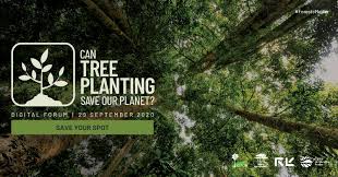 To find out if these plants are perennial in your region/zone, click here. Can Tree Planting Save Our Planet
