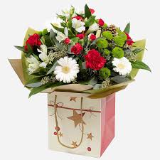 We did not find results for: Christmas Flower Delivery In Ireland