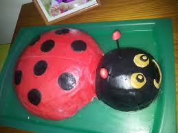 Gateau Coccinelle Genoise Nature Mousse Au Chocolat Gateau Coccinelle Mousse Au Chocolat Genoise Nature