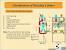Biosafety Cabinet Parts