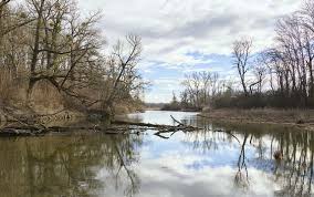 Sie ist nationalpark und wichtigstes naherholungsgebiet für viele wiener*innen. Untere Lobau Aktuelle Wassersituation Lobaumuseum